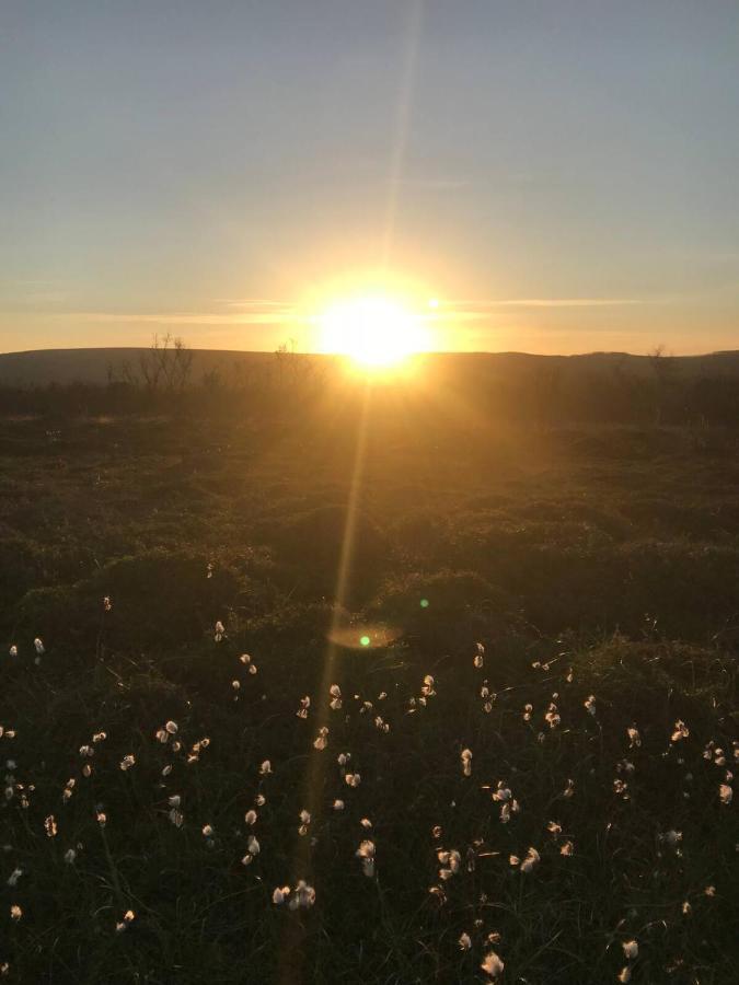 Jakobselvkaia Vadsø エクステリア 写真